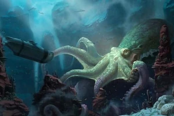 Kraken tor link