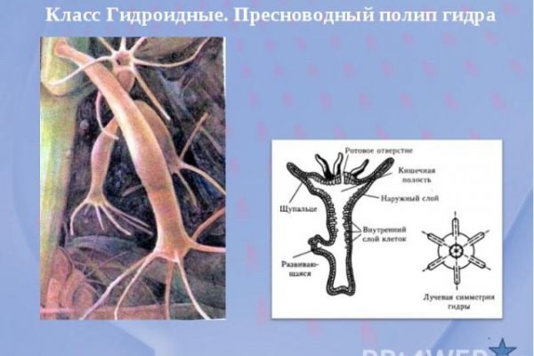 Кракен даркнет только через тор скачать