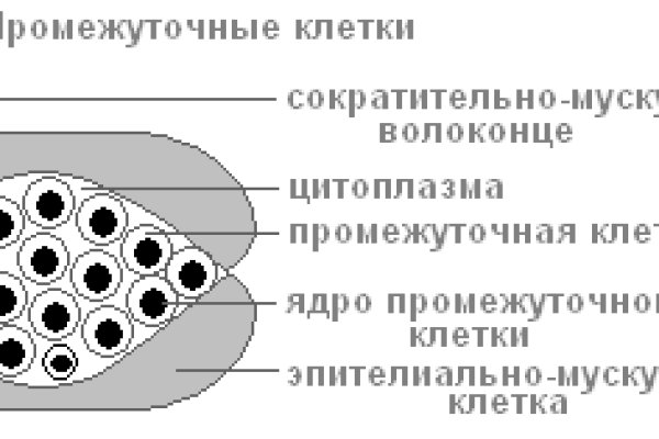 Кракен маркетплейс это